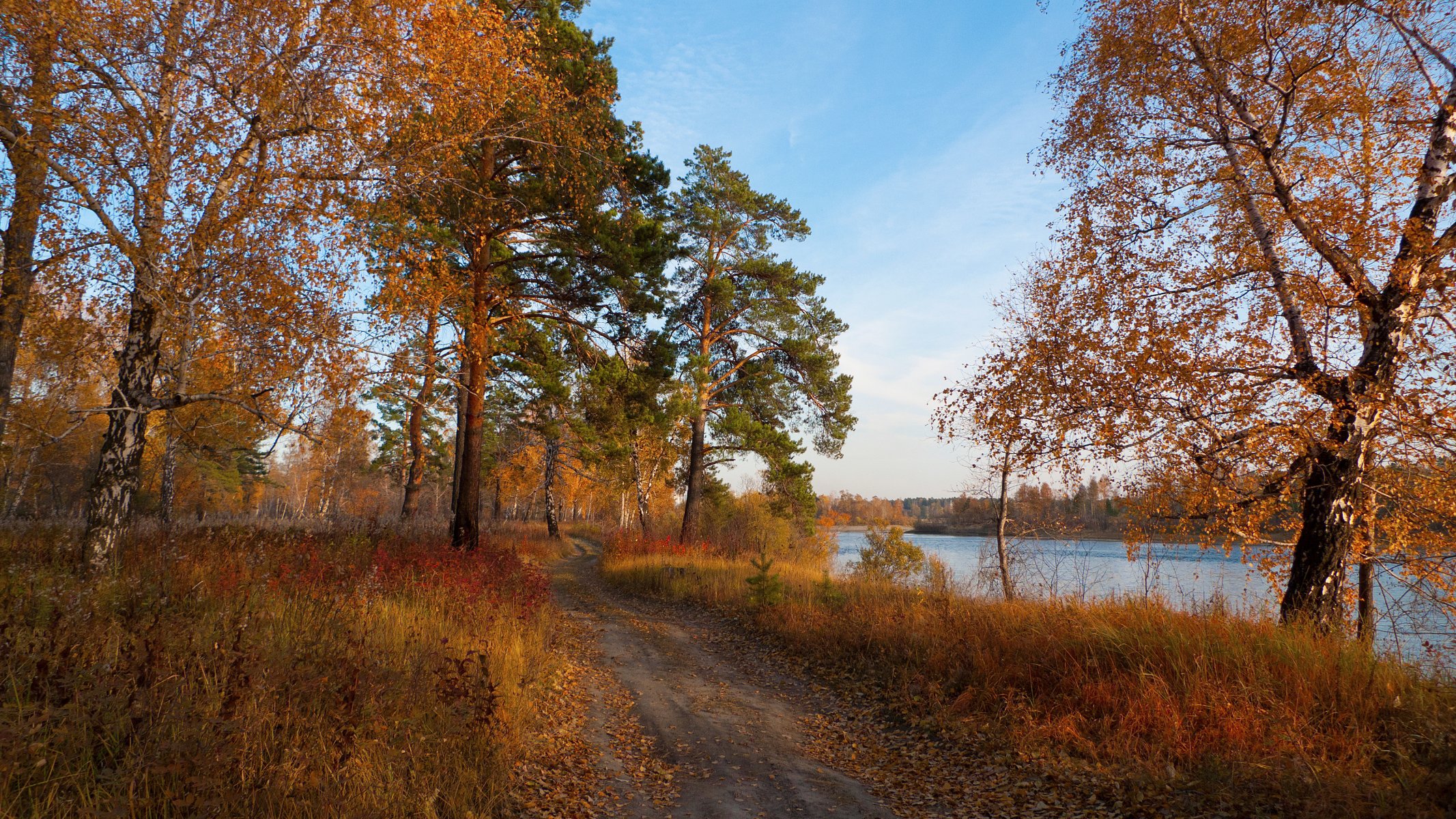 herbst fußabdruck wald bäume fluss gefallene blätter herbststimmung