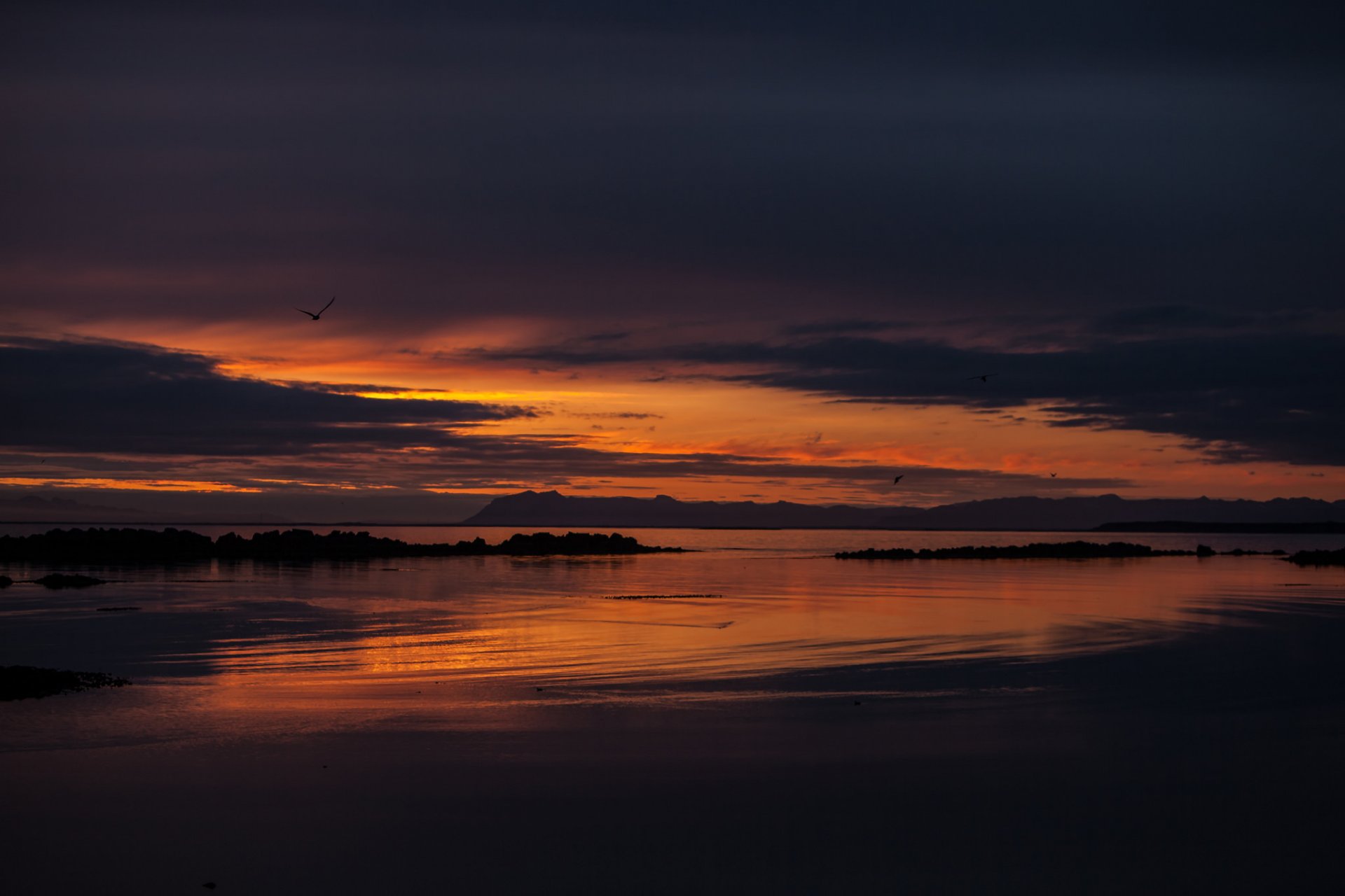 islande baie océan côte soir orange coucher de soleil ciel nuages oiseaux