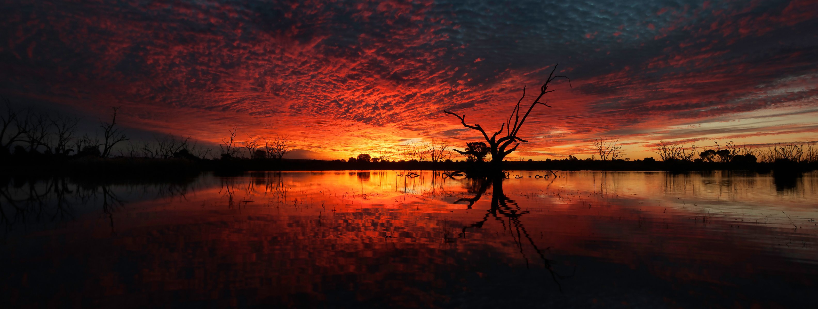 ky clouds sunset lake tree snag