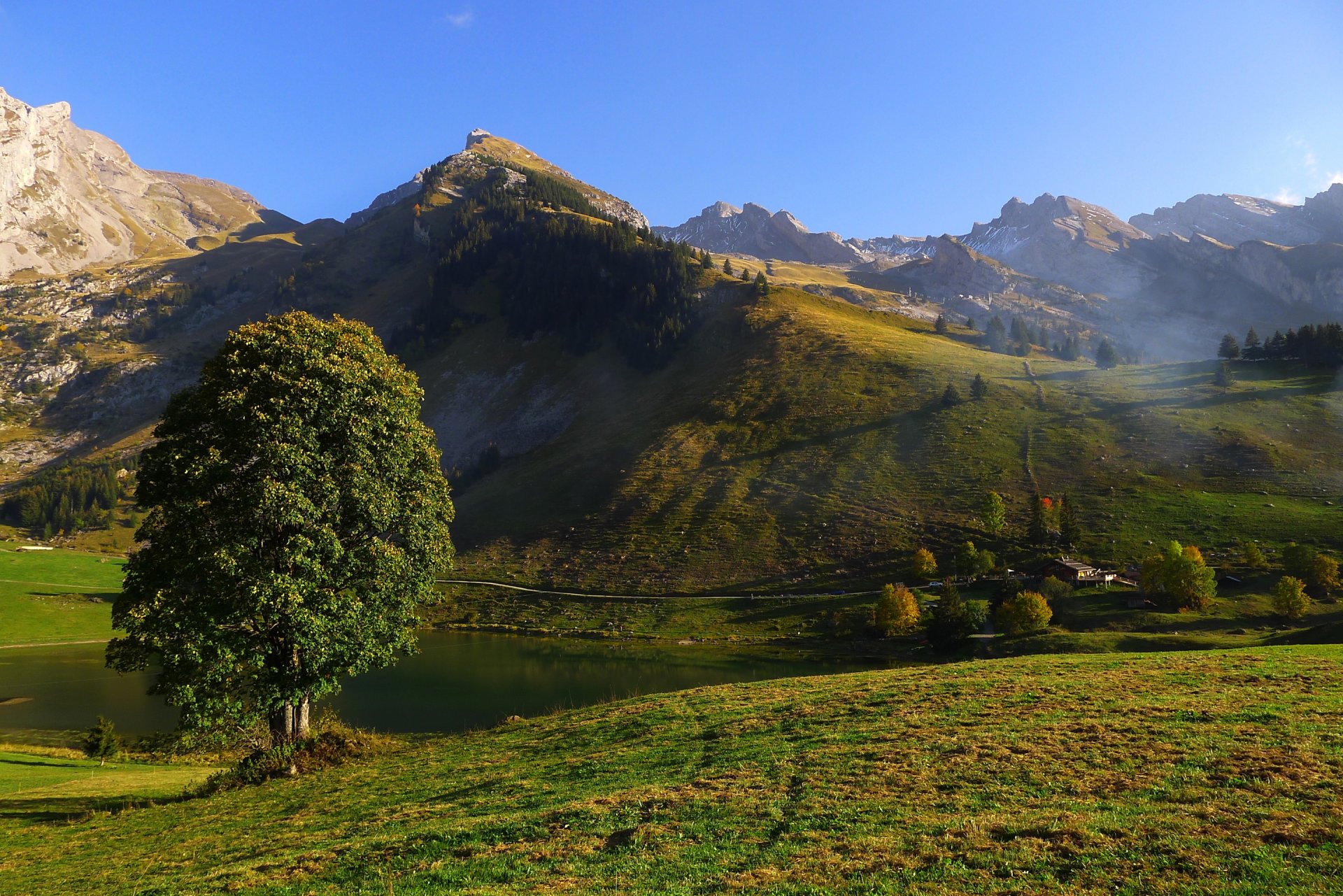 cielo montagne colline alberi erba lago