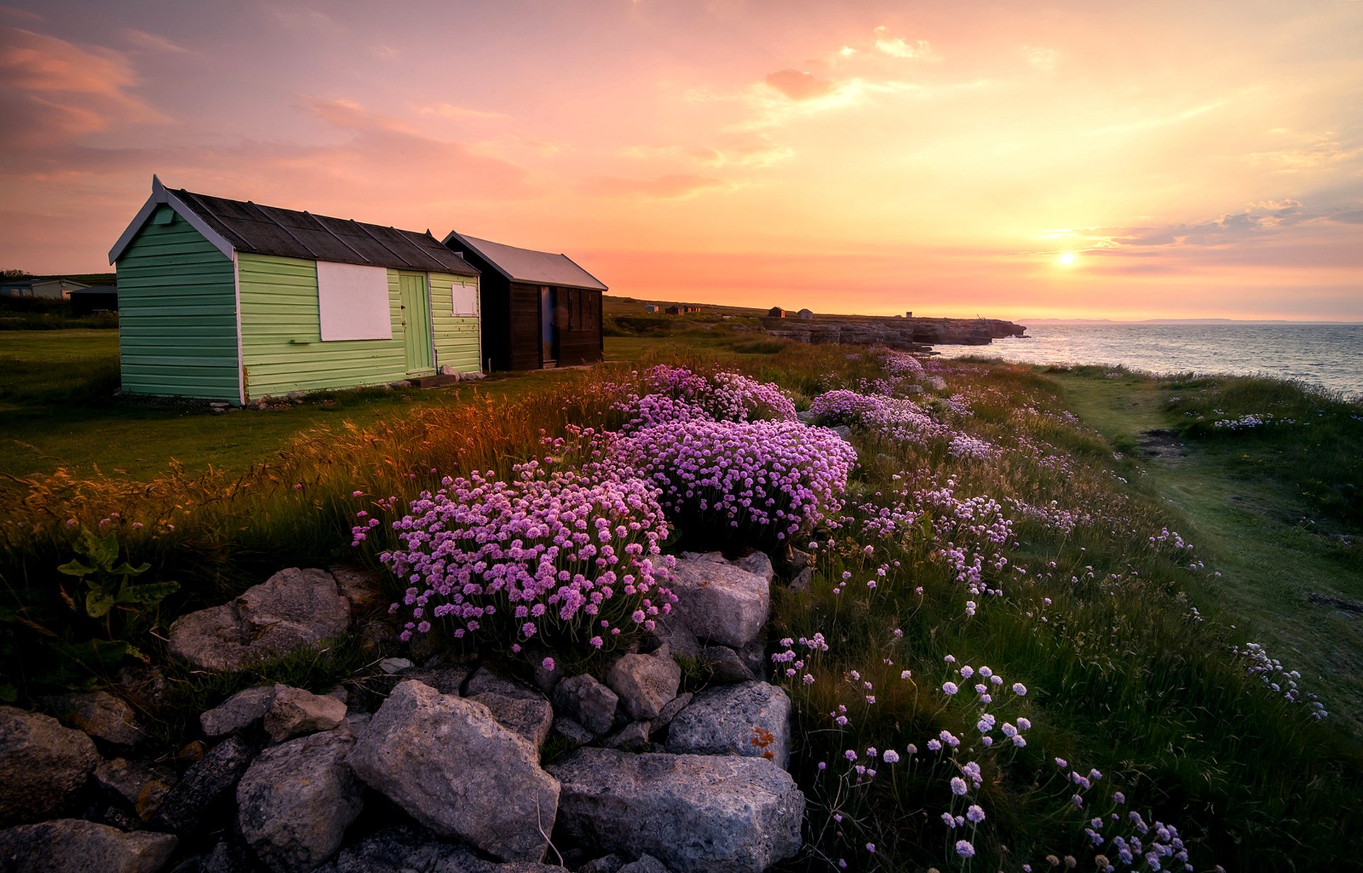 portland dorset anglia kwiaty wyspa hrabstwo dorset wielka brytania kamienie trawa chaty słońce wschód słońca krajobraz