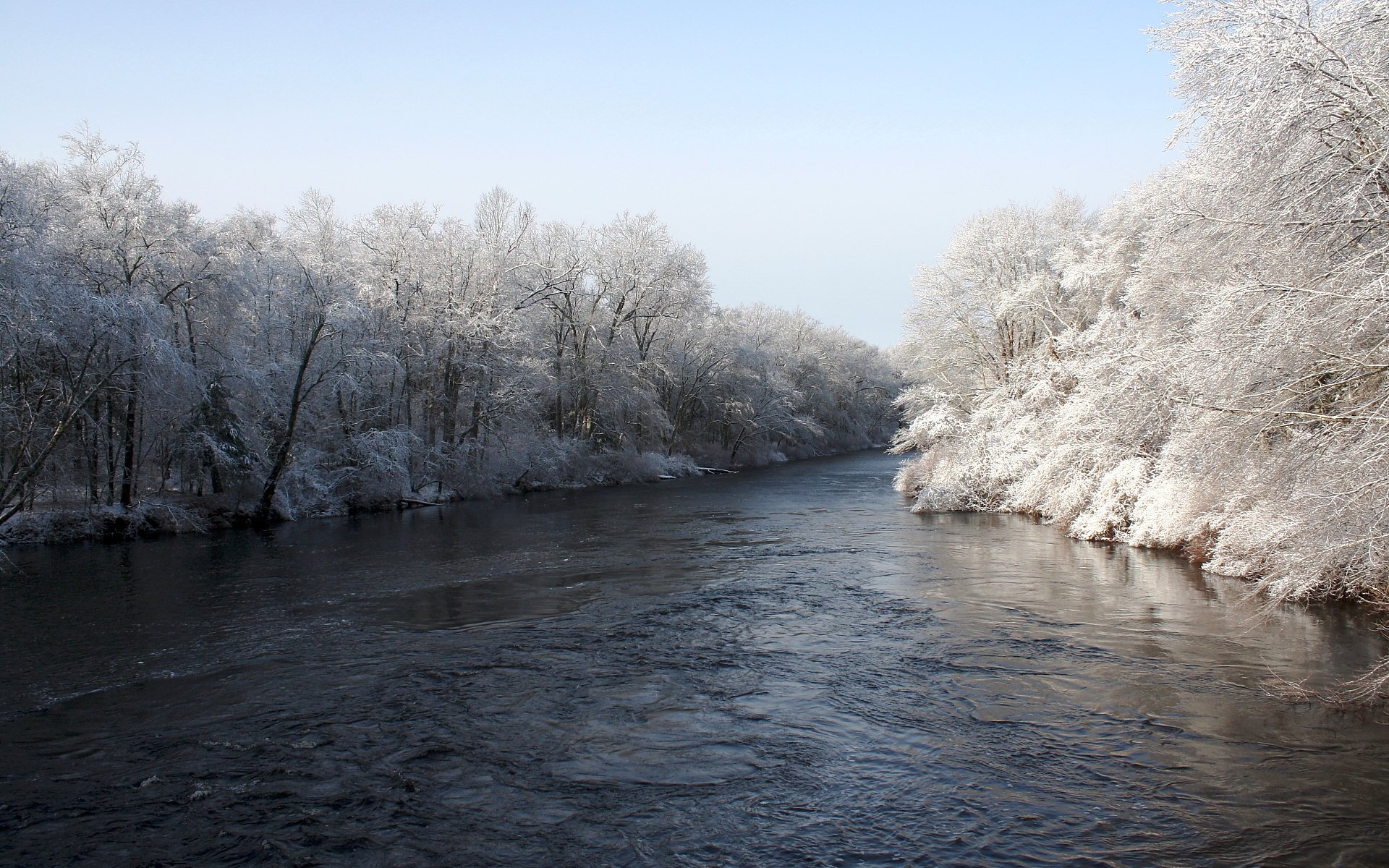 fiume alberi inverno