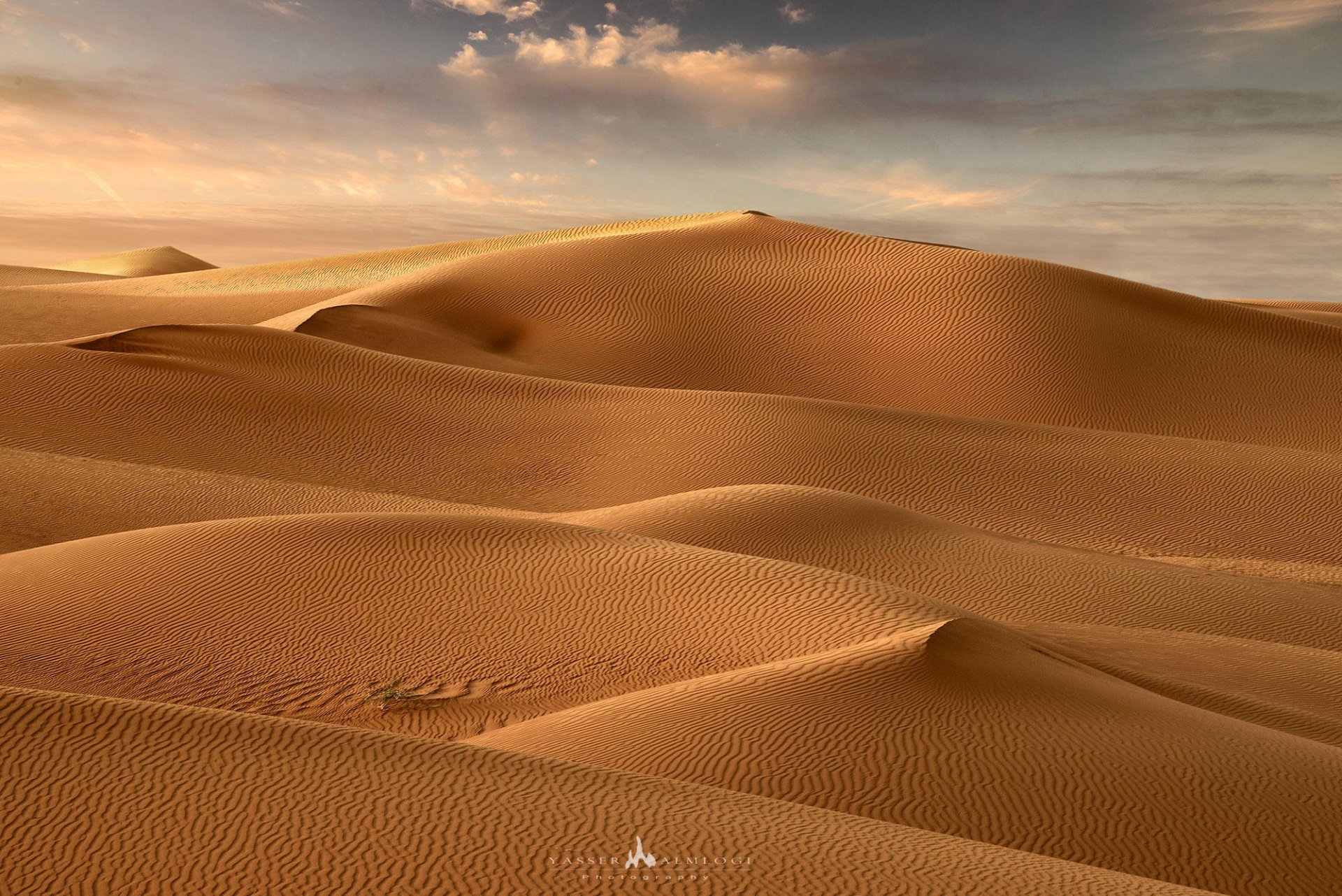 désert dunes paysage sable