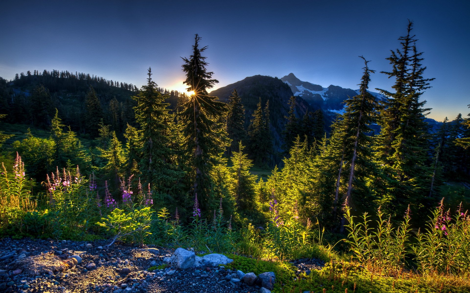 morgen berge landschaft