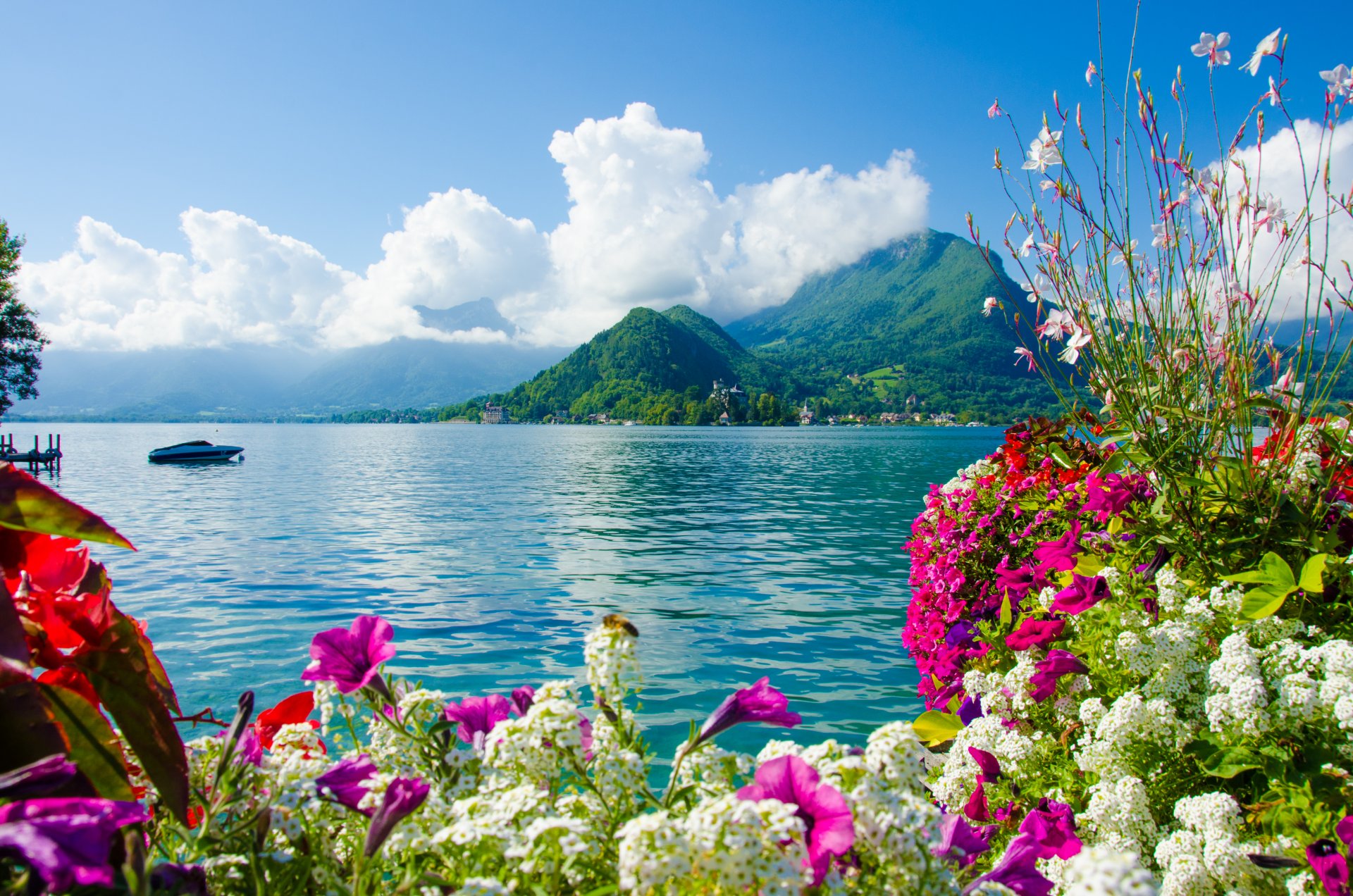 nature sky clouds mountain sea boat flower