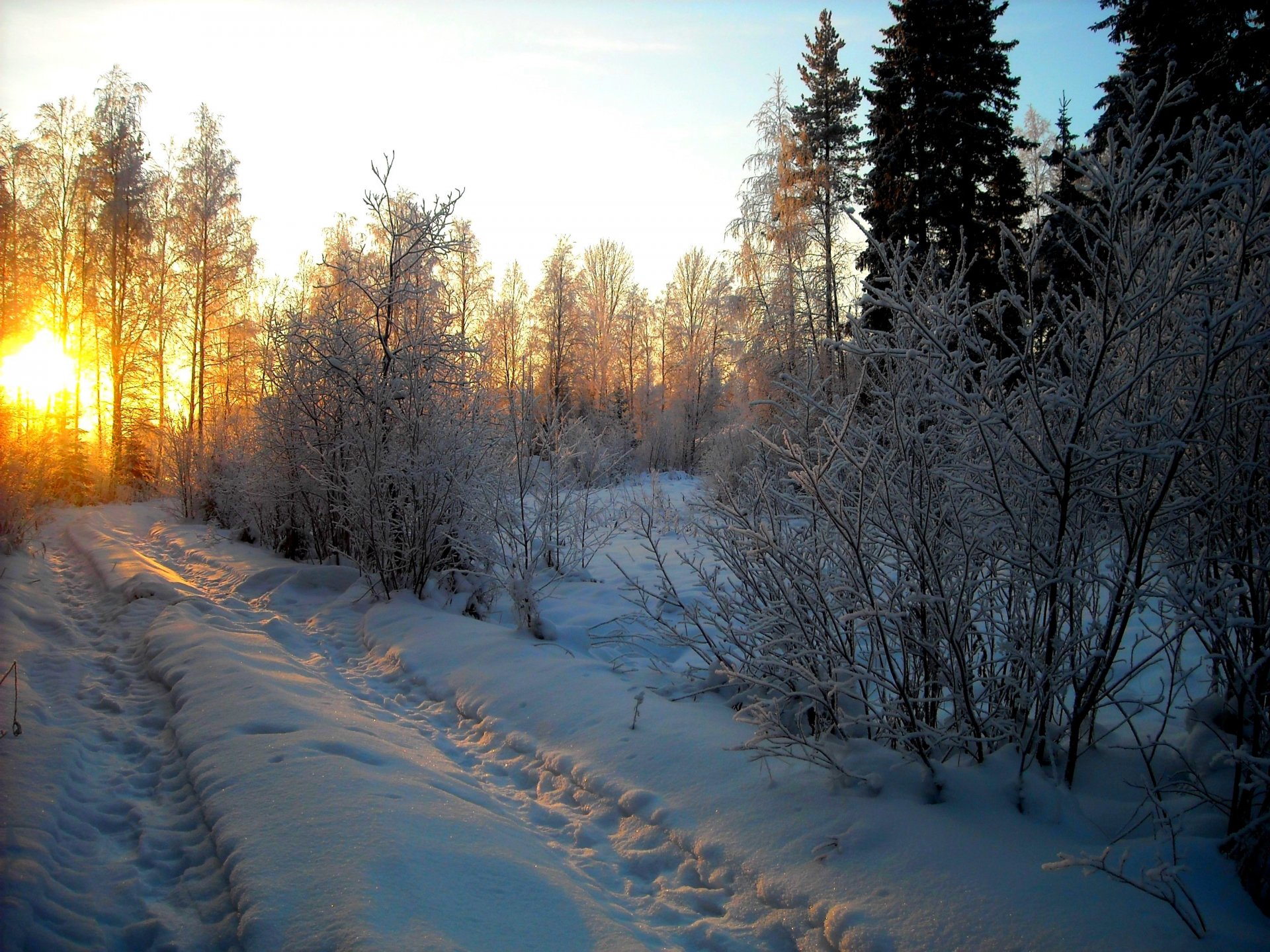 nature winter snow sky landscape winter white forest road cool nice sunset