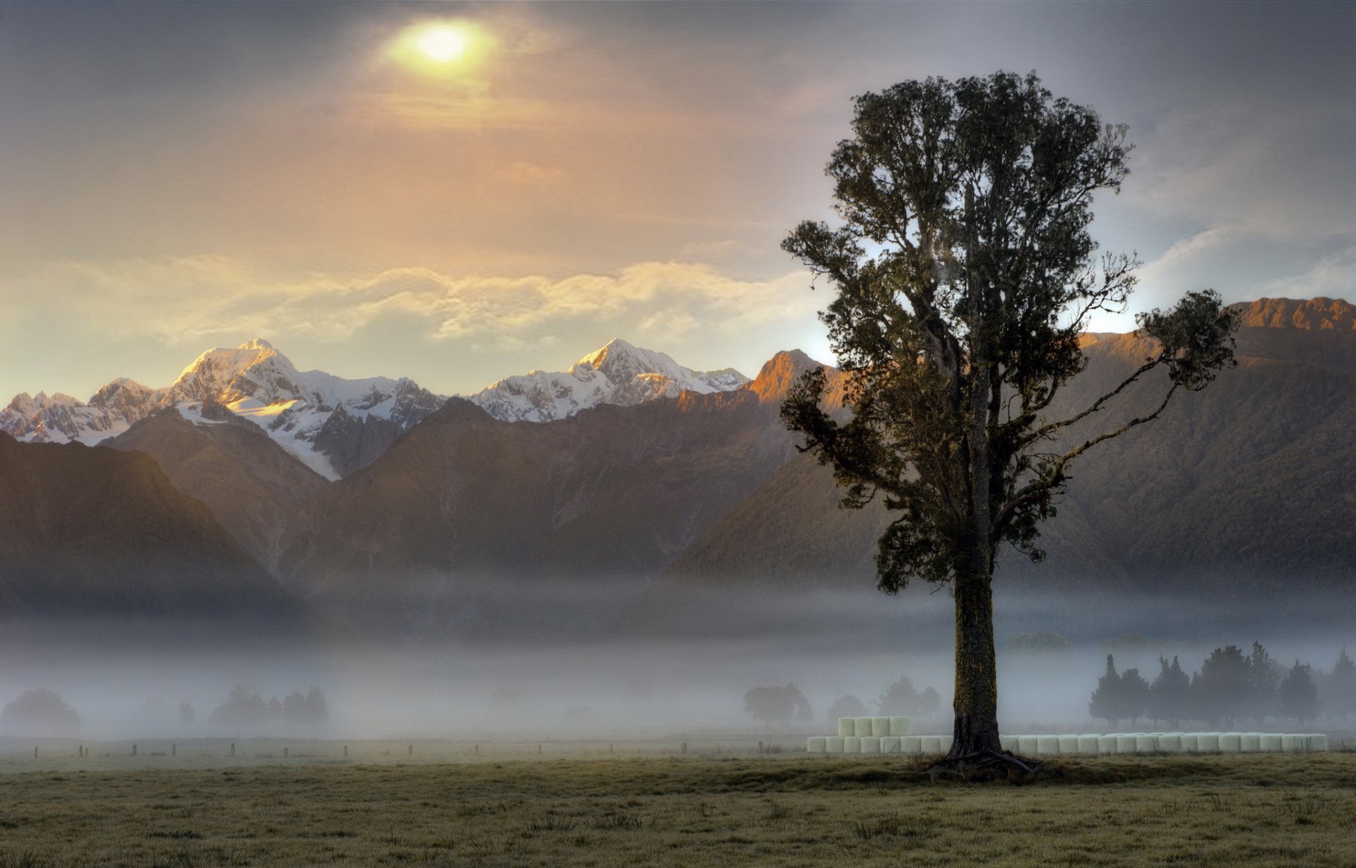 montañas niebla árbol mañana amanecer