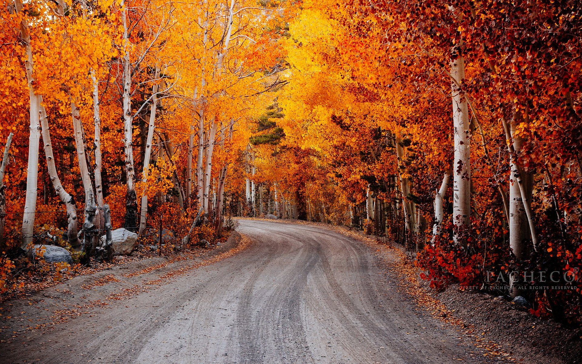 north lake autunno vescovo california