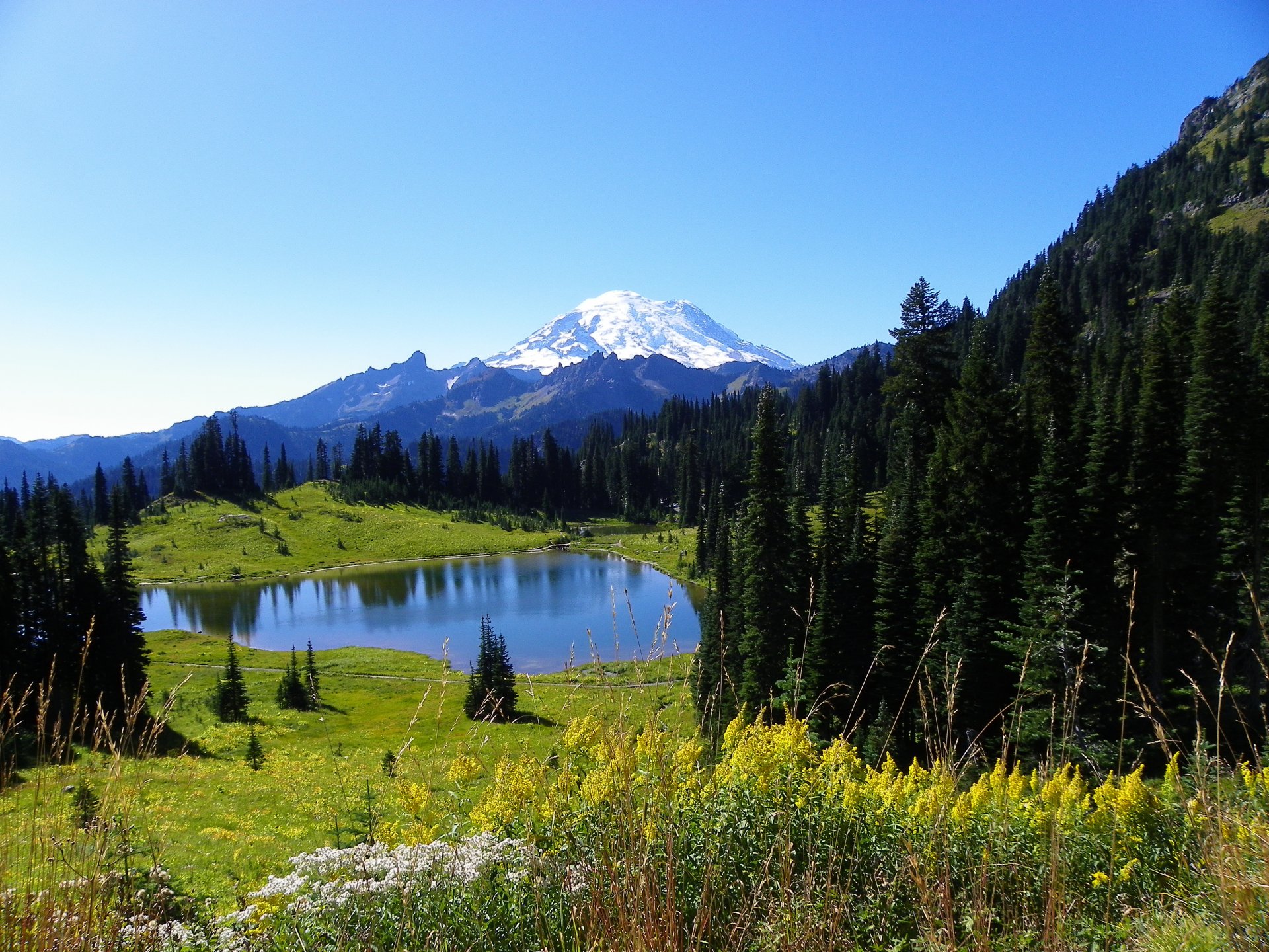 himmel berge gipfel schnee see wald hang wiese blumen tanne natur