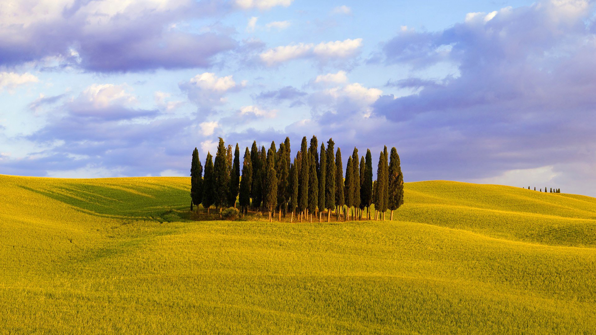 italy sky clouds hills grass tree