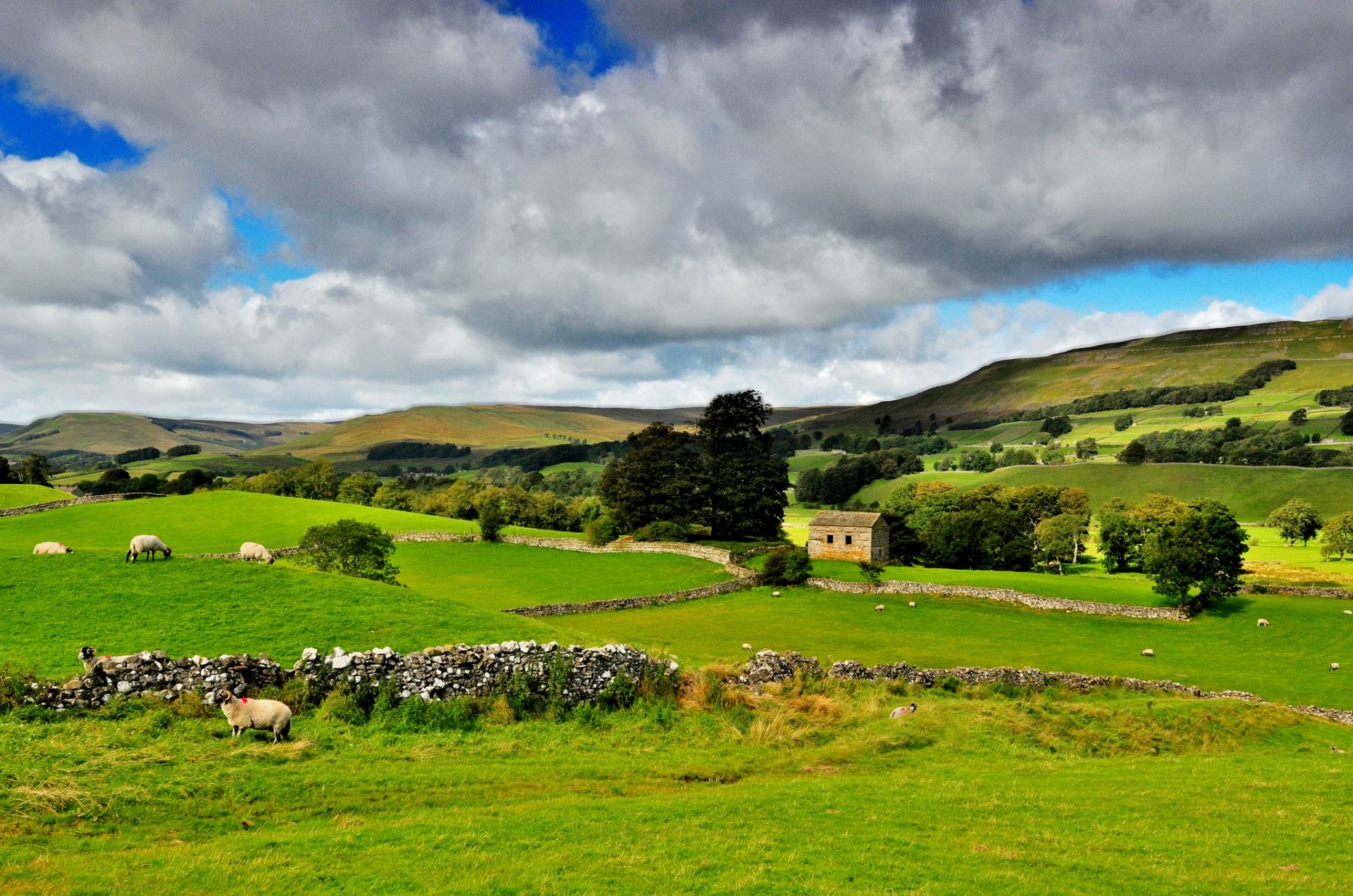 yorkshire dales northern england yorkshire dales park national nature greenery trees sky clouds landscape