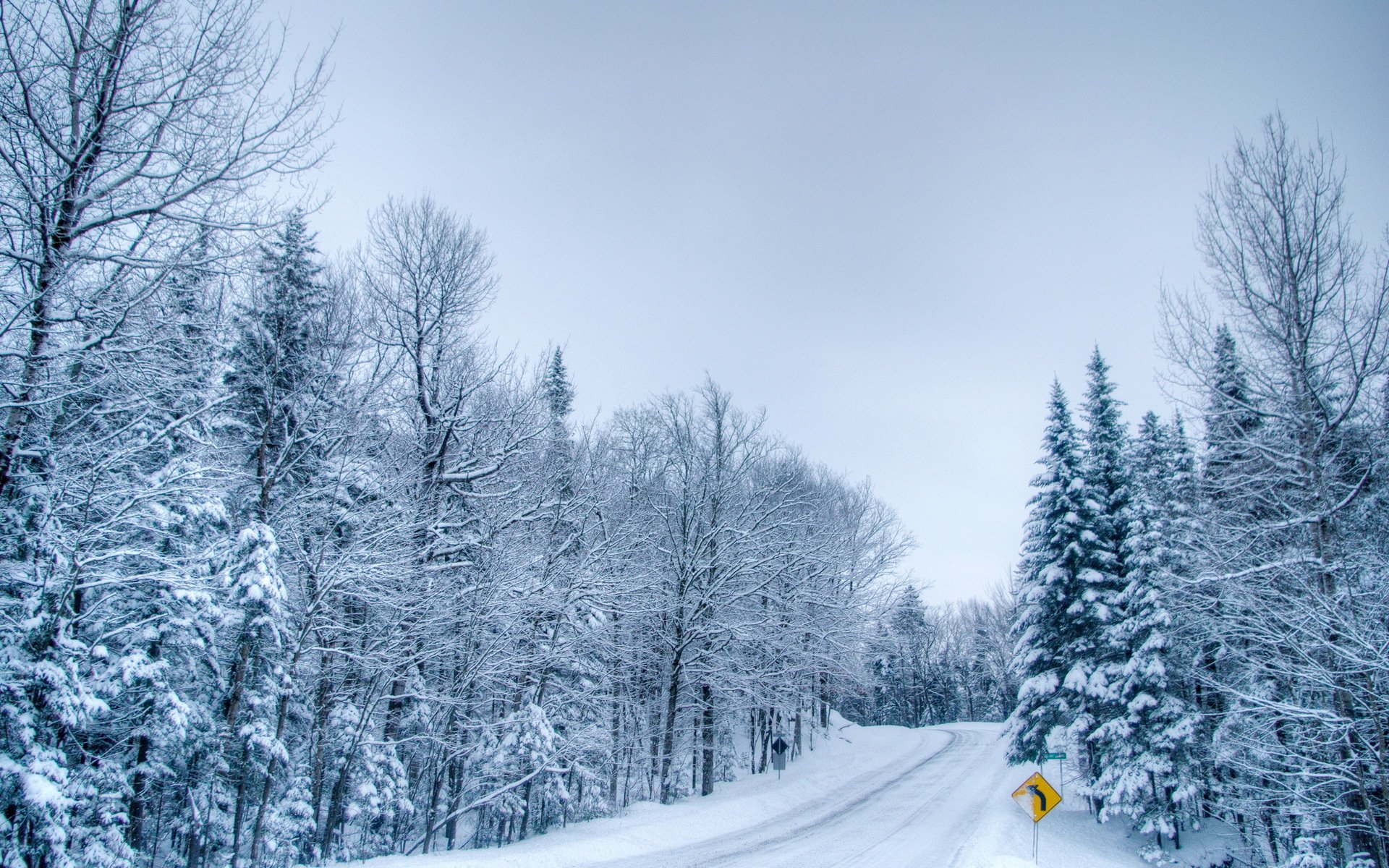 winter road forest mark