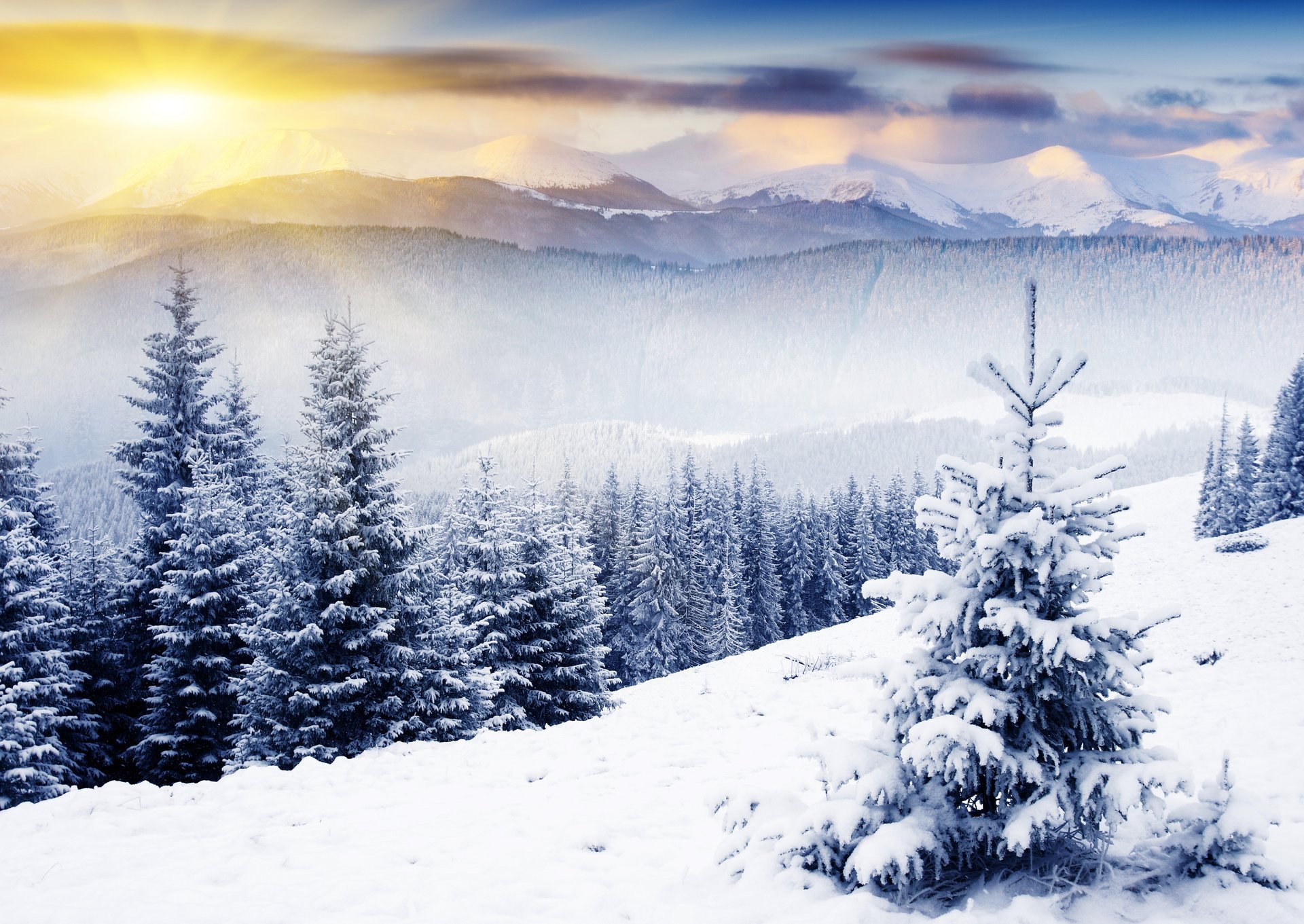 naturaleza invierno montañas árboles de navidad nieve rayos del sol invierno árboles