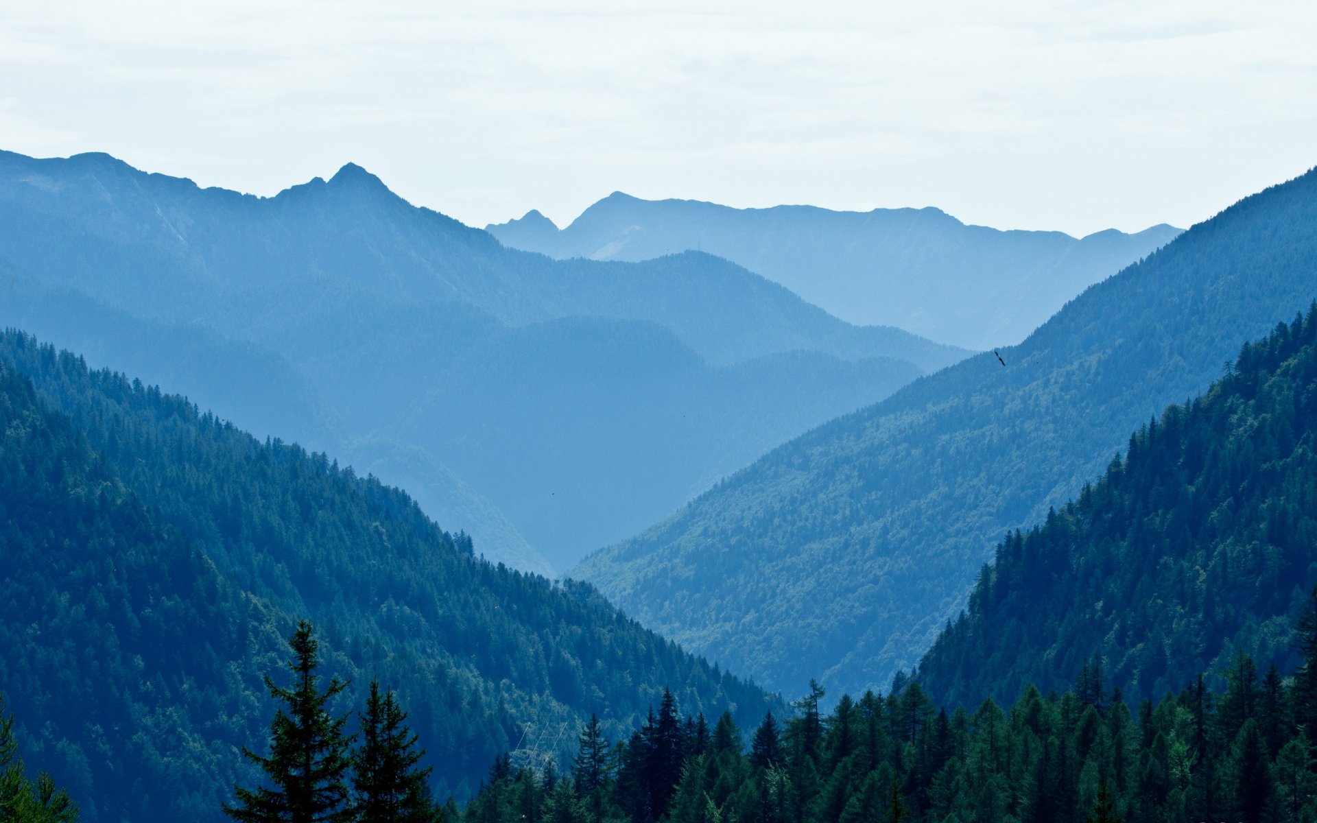 montagnes arbres paysage