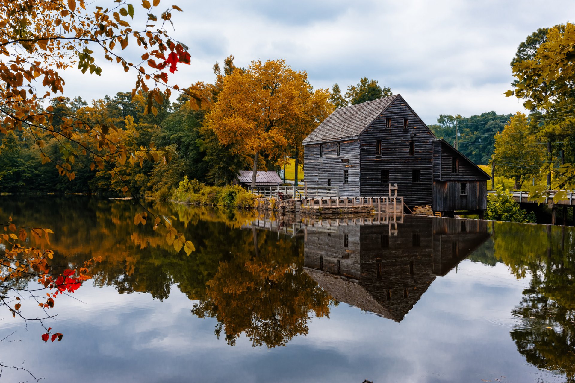 cielo stagno casa alberi autunno