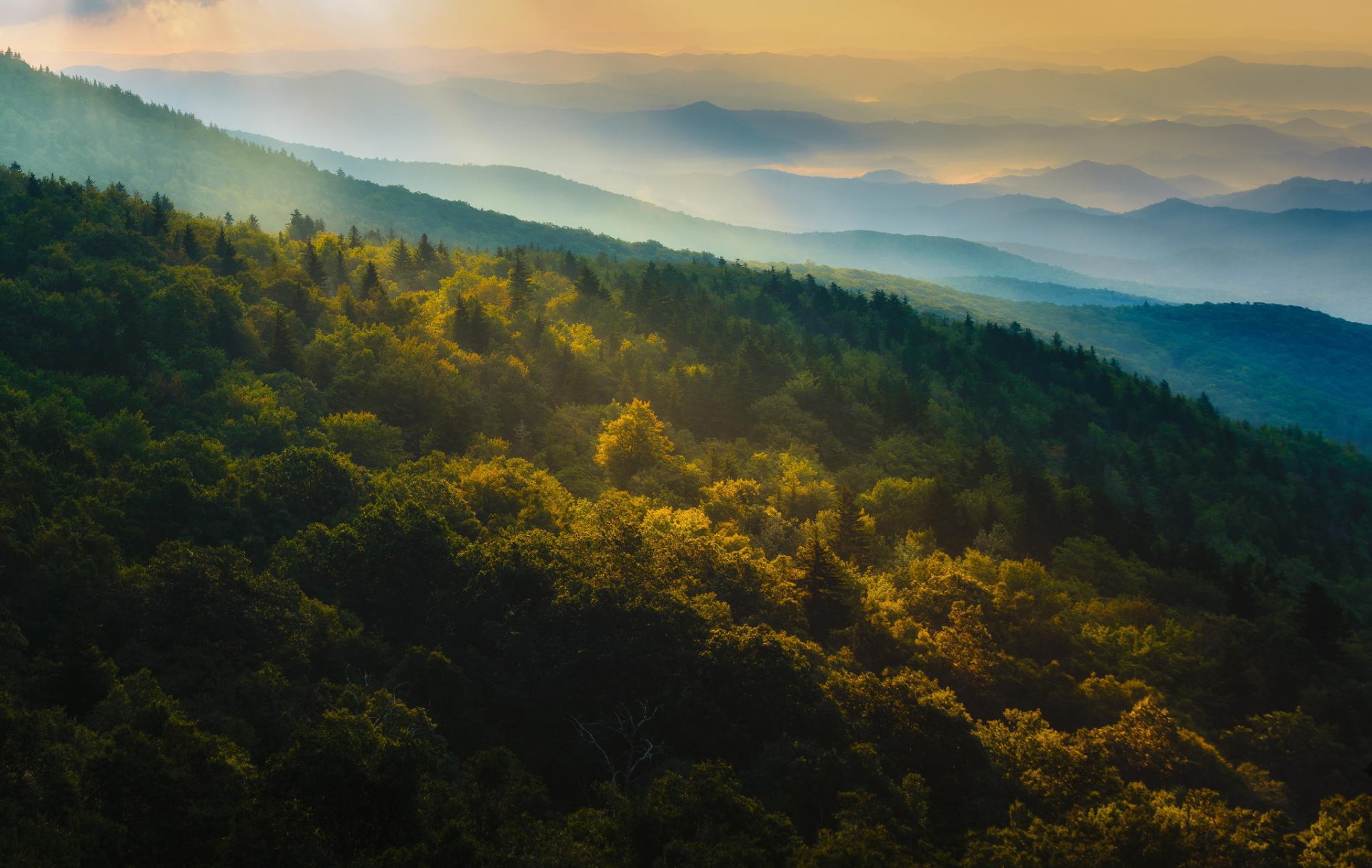 montagna foresta autunno natura panorama alba