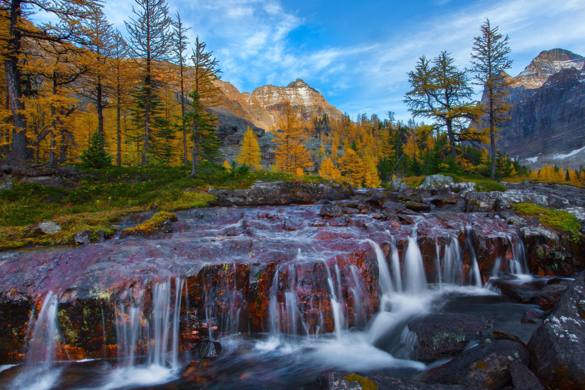 british columbia canada mountain forest tree stones river waterfall rapids autumn