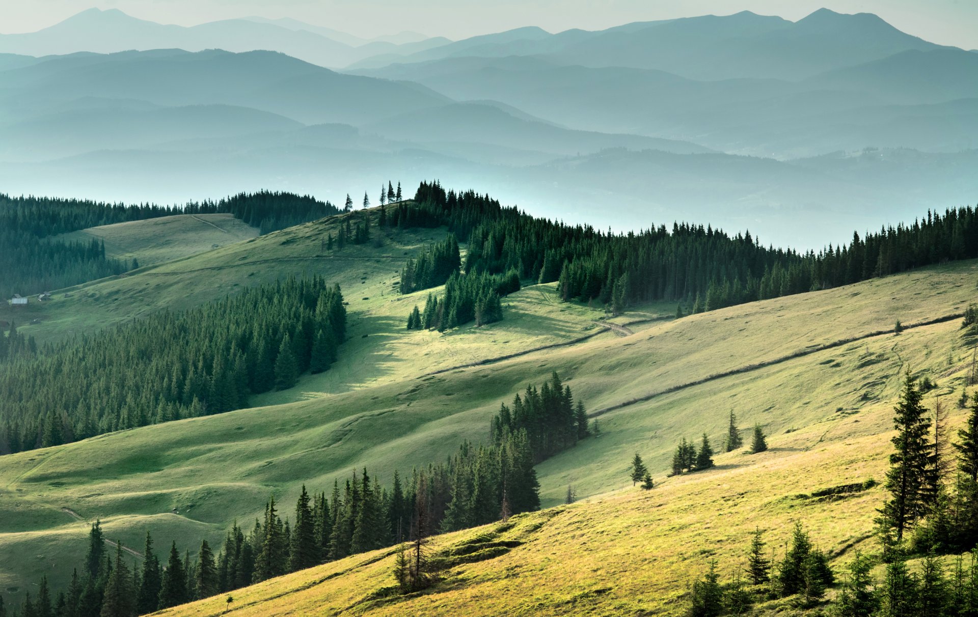 ucraina carpazi montagne campi foreste