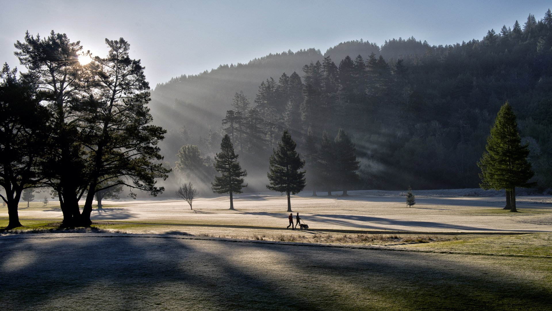 matin lumière parc paysage