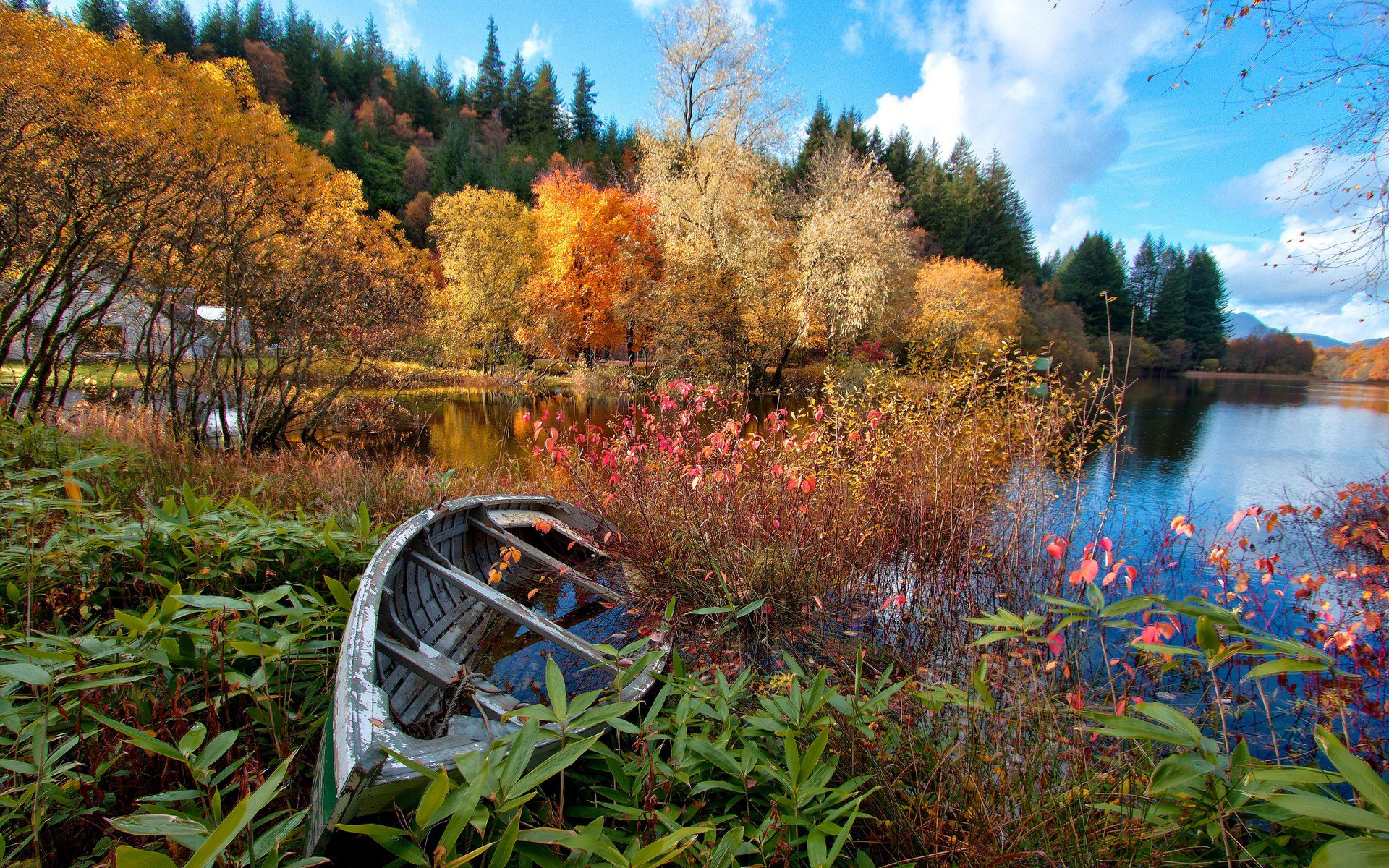 cielo fiume foresta autunno alberi casa barca lago fiori