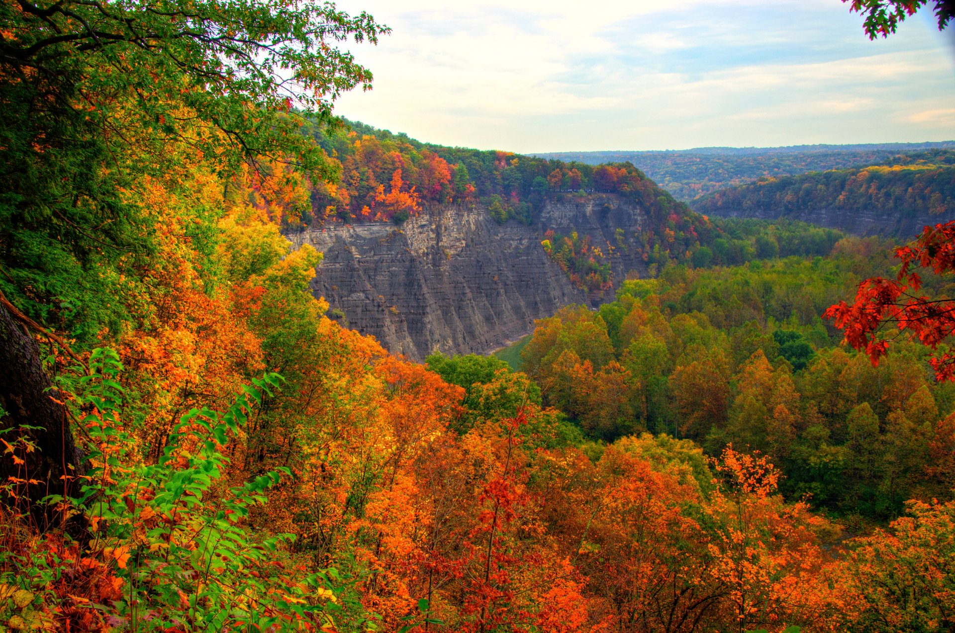 ciel montagnes forêt arbres automne