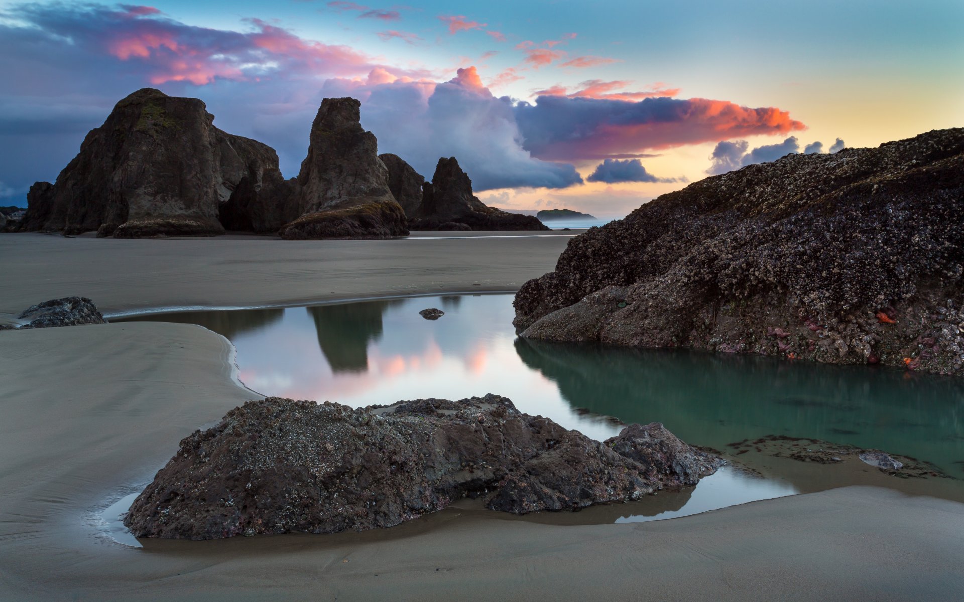 plaża w bandon oregon usa klify plaża ocean