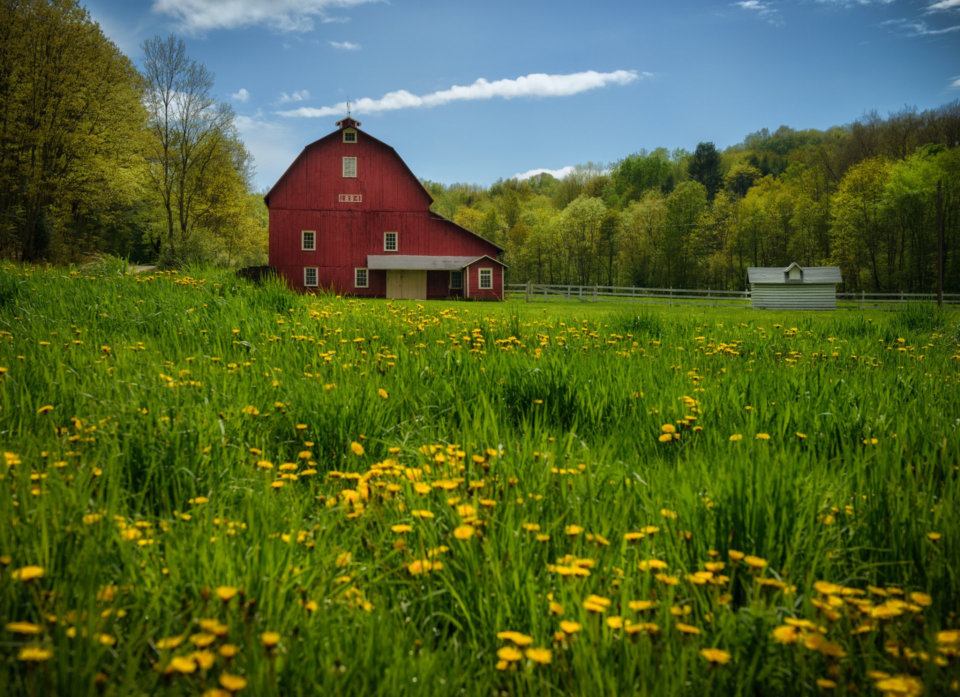 new albany pennsylvanie new albany pissenlits grange arbres prairie