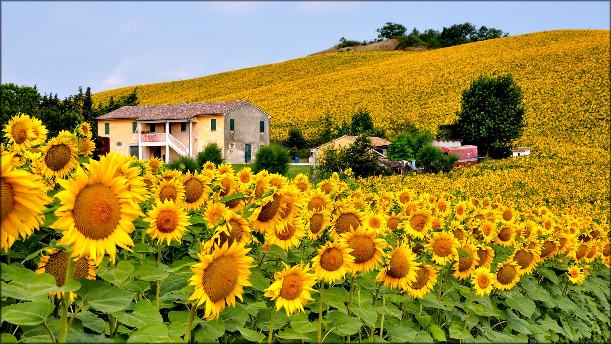 italia cielo colinas campo flores girasol casa