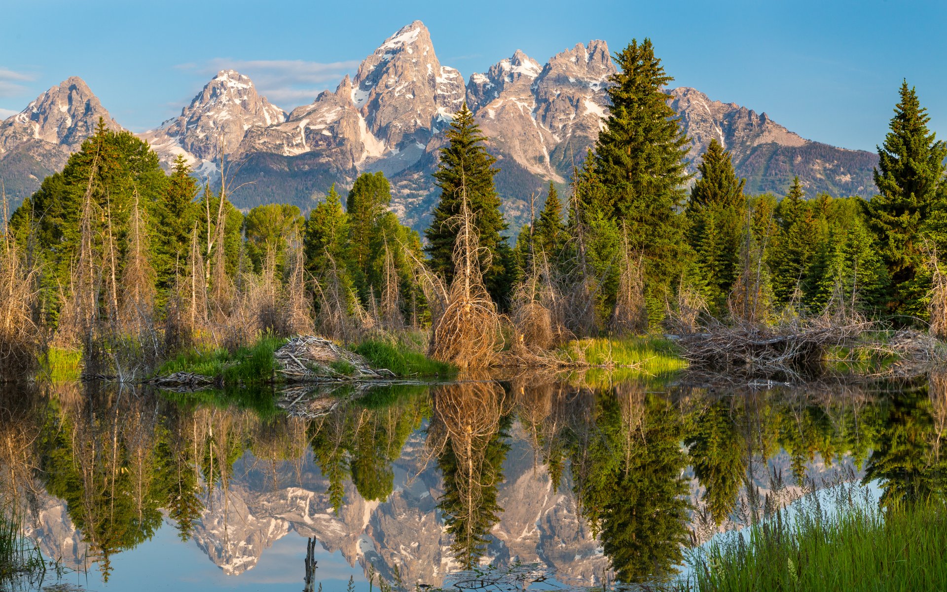 mountain forest lake nature