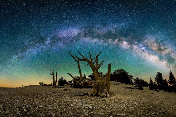 Milky Way on the background of stones, stumps, snags, twigs, branches. Nature