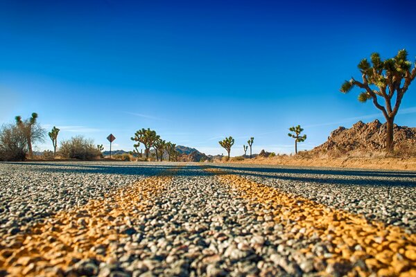 Photo of the road from asphalt, an endless path