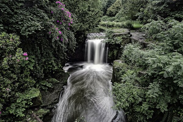 Herrliche Aussicht auf den Jesmond Dene Wasserfall in England