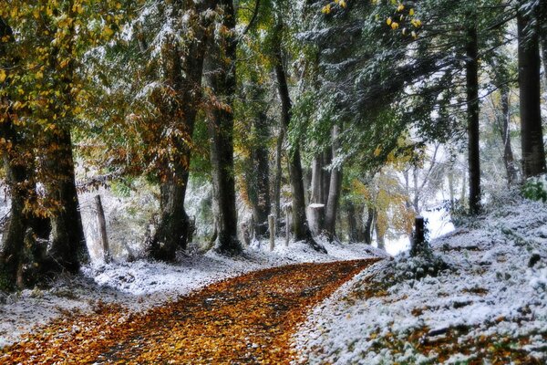 Die Natur nimmt den ersten Schnee