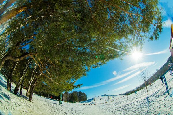 Downhill skiing as a separate type of winter fun