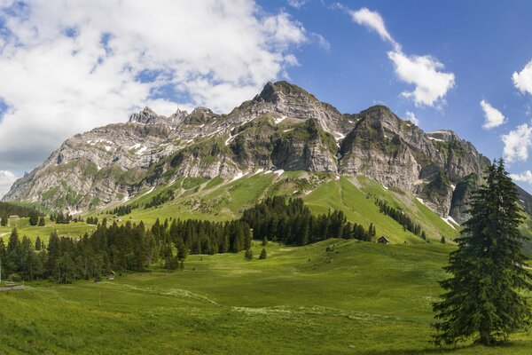 Вершины гор в зеленых лугах