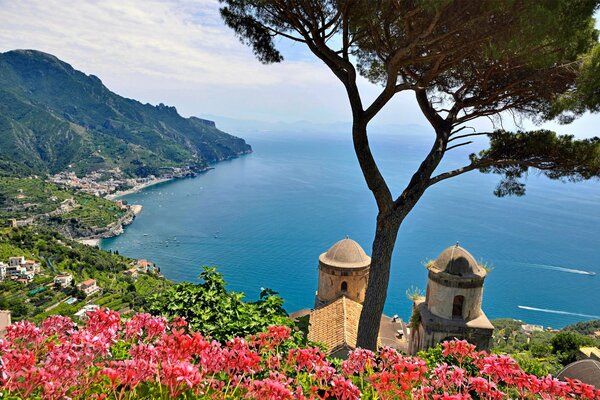 Italy. Flowers on the seashore