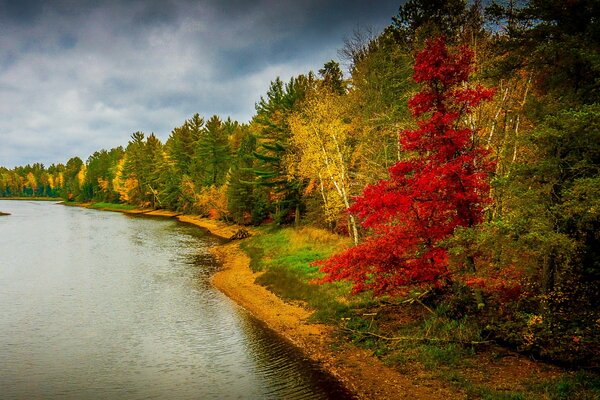 Árboles rojos amarillos y verdes en la orilla del río