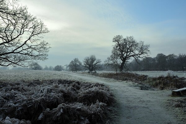Landscape of a road in a field in frost