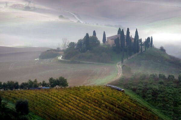 Campo de niebla por la mañana en el paisaje de la Toscana