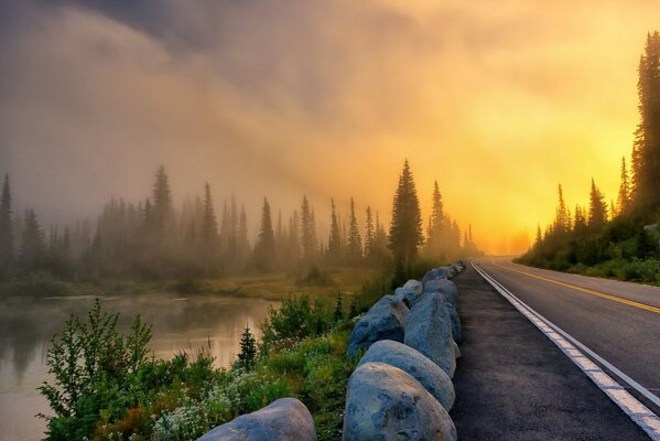 Trees in the fog on the lake shore