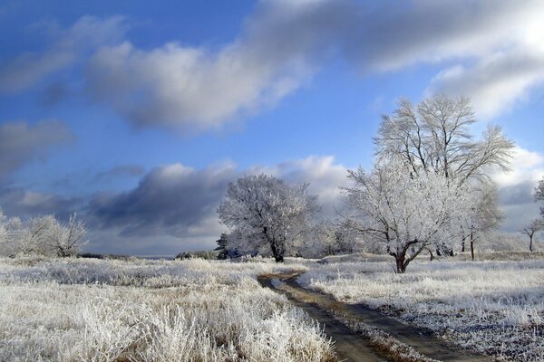 The road to the field in the frost landscape