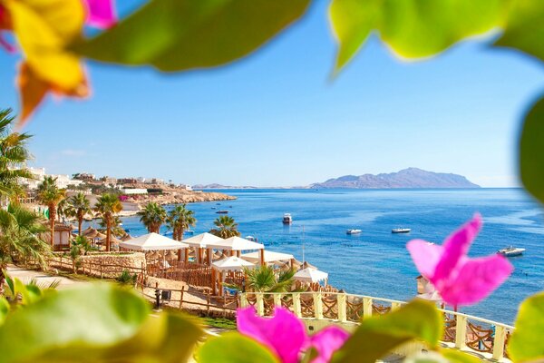 Schöner Strand von Palma Meer in Ägypten