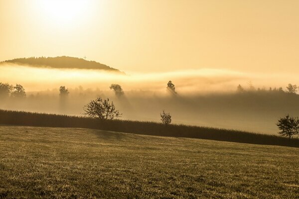 Morgennebel auf den Bergen und auf dem Feld