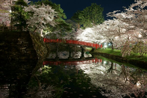 Park by the pond in spring in Japan