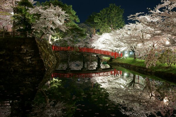 Park Nad Stawem wiosną w Japonii
