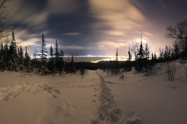 Noche de invierno hermoso paisaje