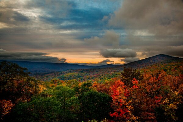 Paysage d automne des États-Unis. Nature De Virginie