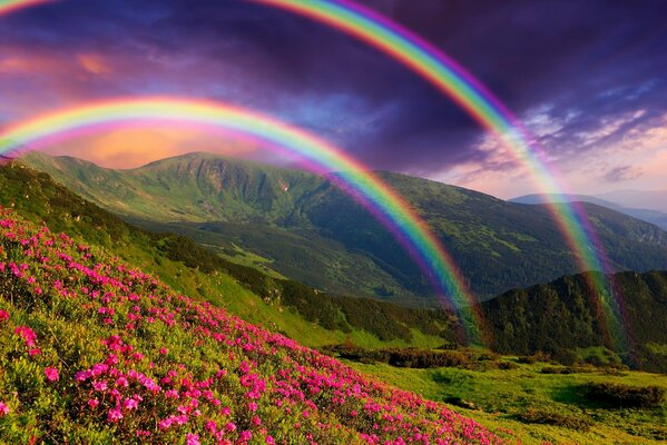 Arco iris de la tarde después de la lluvia