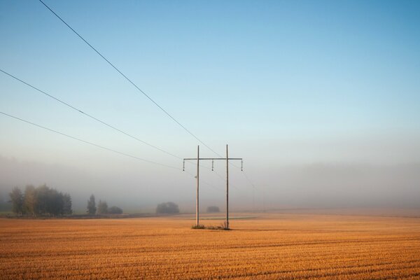 Paysage de champ brumeux et lignes électriques