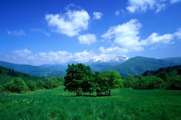 Blask kolorów chmury na niebie, dolina z górami, łąką, trawą i drzewami